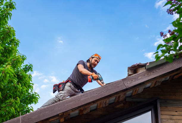 Best Roof Ventilation Installation  in Ellisville, MO