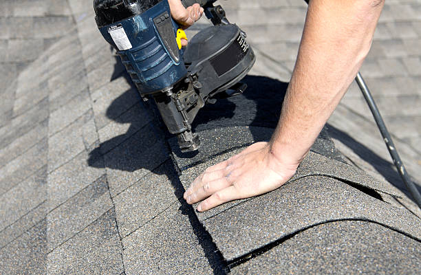 Best Roof Moss and Algae Removal  in Ellisville, MO