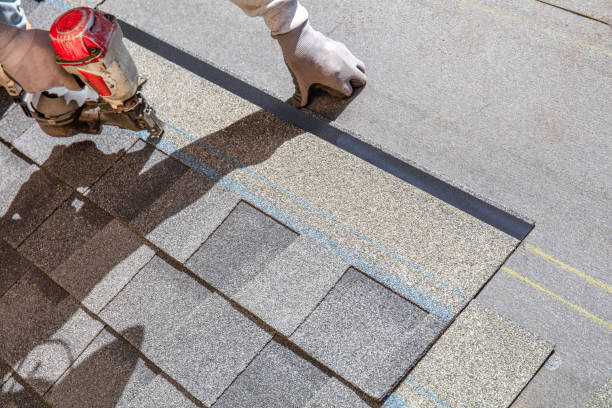 Best Roof Insulation Installation  in Ellisville, MO